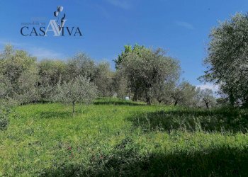 Foto 23 - Terreno agricolo contrada s. maria in accubitu, Acquaviva Picena - foto 23
