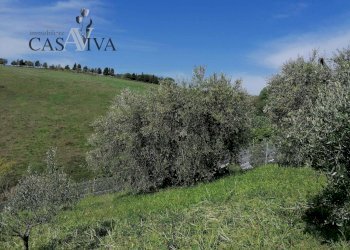 Foto 24 - Terreno agricolo contrada s. maria in accubitu, Acquaviva Picena - foto 24