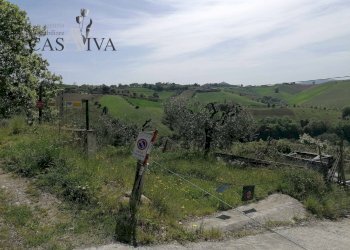 Foto 25 - Terreno agricolo contrada s. maria in accubitu, Acquaviva Picena - foto 25