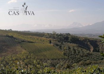 Foto 31 - Rustic Contrada San Lazzaro
 
104/A, Offida - photo 31