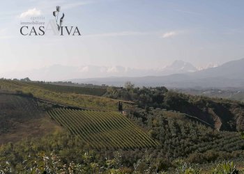 Foto 35 - Rustic Contrada San Lazzaro
 
104/A, Offida - photo 35