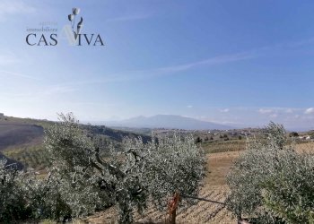 Foto 38 - Rustic Contrada San Lazzaro
 
104/A, Offida - photo 38