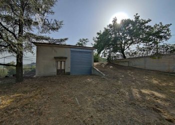 Foto 5 - Rustico Contrada Forola
 
27, Acquaviva Picena - foto 5