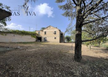 Foto 6 - Rustico Contrada Forola
 
27, Acquaviva Picena - foto 6