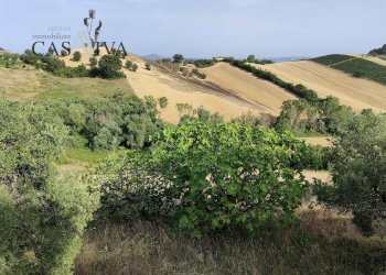 Foto 23 - Rustico Contrada Forola
 
27, Acquaviva Picena - foto 23