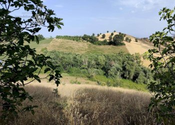 Foto 25 - Rustico Contrada Forola
 
27, Acquaviva Picena - foto 25