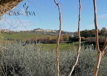 Foto 39 - Rustico Contrada Forola
 
27, Acquaviva Picena - foto 39