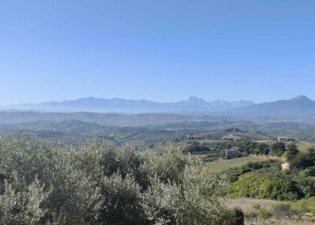 Foto 15 - Rustico Contrada Santa Caterina
 
10, Acquaviva Picena - foto 15