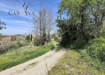 Foto 42 - Rustico Contrada Santa Caterina
 
10, Acquaviva Picena - foto 42