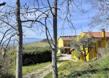 Foto 43 - Rustico Contrada Santa Caterina
 
10, Acquaviva Picena - foto 43