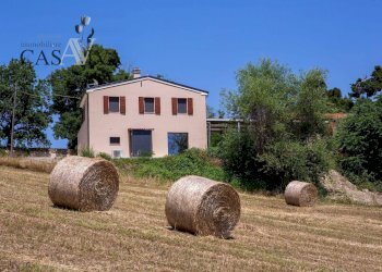 Foto 21 - Rustic Contrada Ciafone, Offida - photo 21