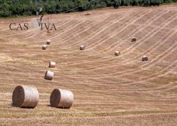 Foto 24 - Rustic Contrada Ciafone, Offida - photo 24