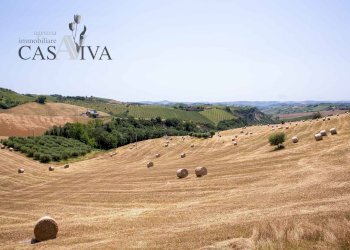 Foto 46 - Rustic Contrada Ciafone, Offida - photo 46