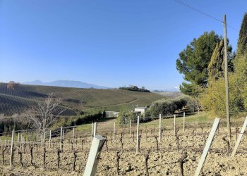 Foto 6 - Rustico Contrada Forola, Acquaviva Picena - foto 6