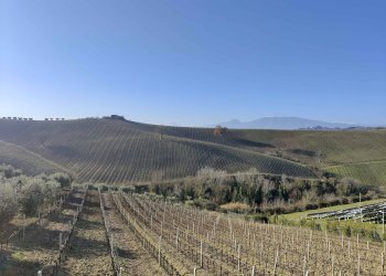 Foto 18 - Rustico Contrada Forola, Acquaviva Picena - foto 18