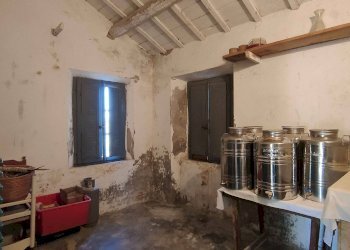 Foto 28 - Rustico Contrada Forola, Acquaviva Picena - foto 28