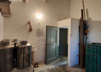 Foto 29 - Rustico Contrada Forola, Acquaviva Picena - foto 29