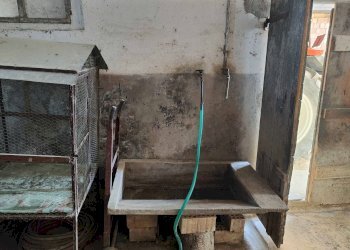 Foto 45 - Rustico Contrada Forola, Acquaviva Picena - foto 45