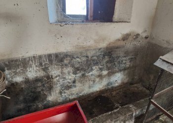 Foto 46 - Rustico Contrada Forola, Acquaviva Picena - foto 46