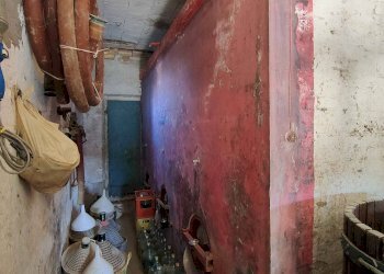 Foto 49 - Rustico Contrada Forola, Acquaviva Picena - foto 49