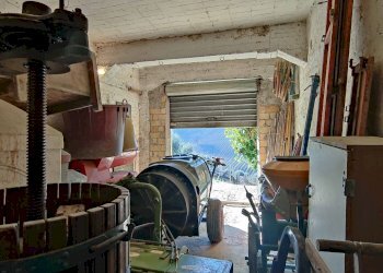 Foto 50 - Rustico Contrada Forola, Acquaviva Picena - foto 50