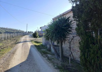 Foto 52 - Rustico Contrada Forola, Acquaviva Picena - foto 52