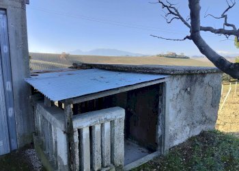 Foto 54 - Rustico Contrada Forola, Acquaviva Picena - foto 54