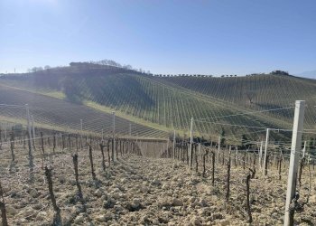 Foto 55 - Rustico Contrada Forola, Acquaviva Picena - foto 55