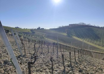 Foto 56 - Rustico Contrada Forola, Acquaviva Picena - foto 56