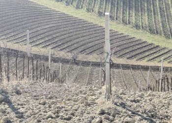 Foto 57 - Rustico Contrada Forola, Acquaviva Picena - foto 57