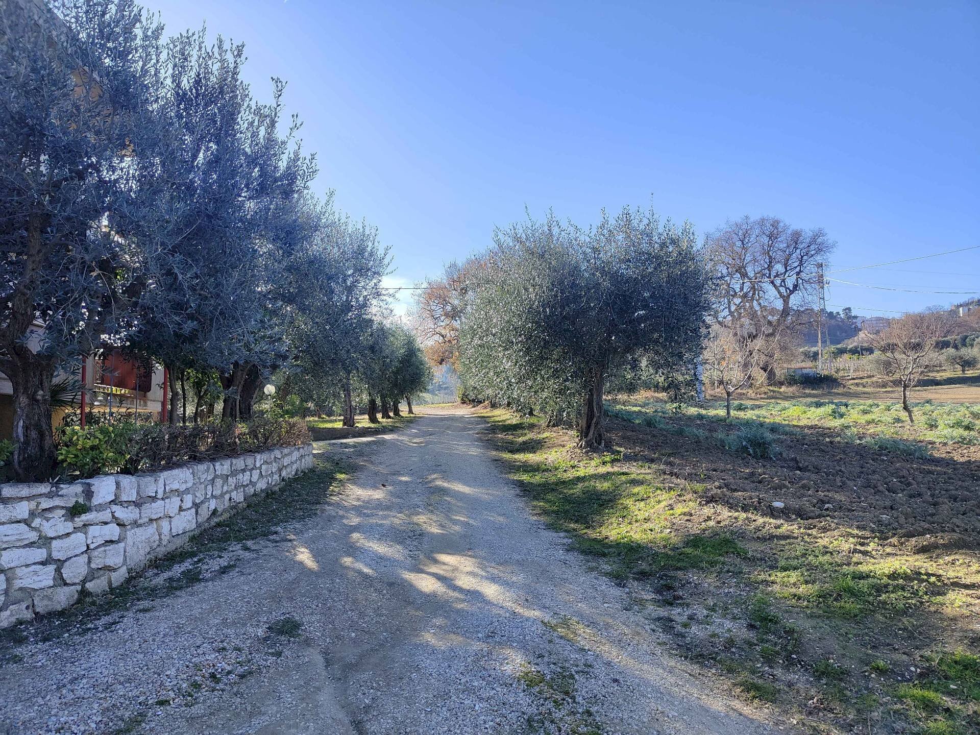 Foto 3 - Rustico Contrada Paterno
 
14, Acquaviva Picena - foto 3