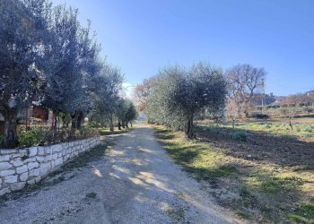 Foto 3 - Rustico Contrada Paterno
 
14, Acquaviva Picena - foto 3