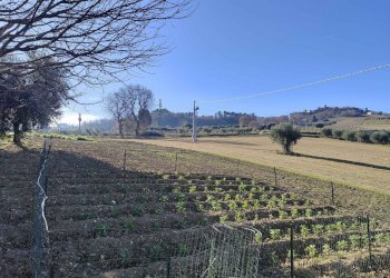 Foto 33 - Rustico Contrada Paterno
 
14, Acquaviva Picena - foto 33