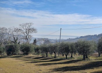 Foto 40 - Rustico Contrada Paterno
 
14, Acquaviva Picena - foto 40