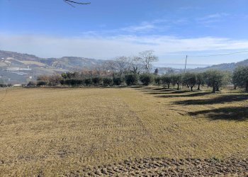 Foto 41 - Rustico Contrada Paterno
 
14, Acquaviva Picena - foto 41