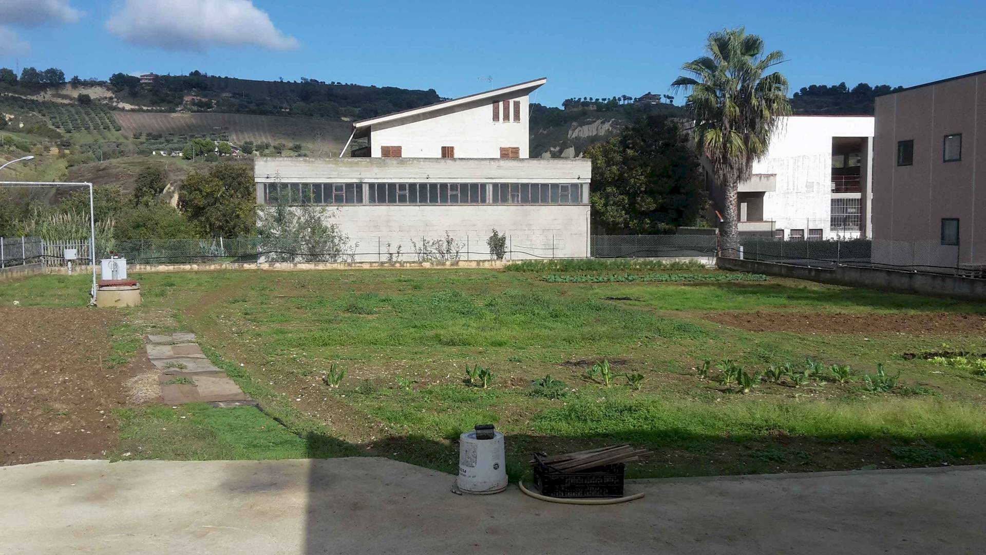 Foto 1 - Terreno edificabile Contrada Colle in Su, Acquaviva Picena - foto 1