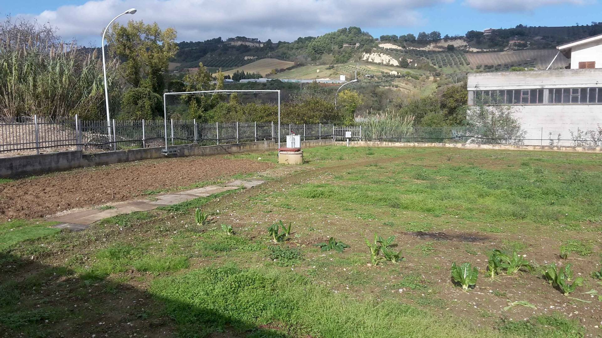 Foto 2 - Terreno edificabile Contrada Colle in Su, Acquaviva Picena - foto 2