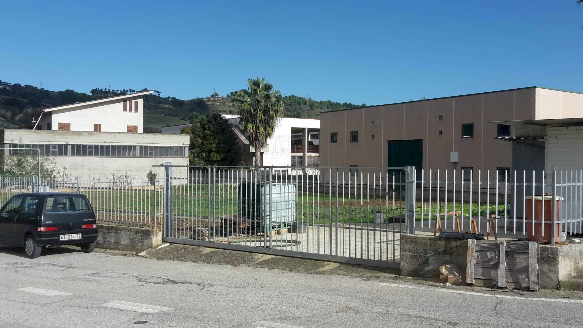 Foto 3 - Terreno edificabile Contrada Colle in Su, Acquaviva Picena - foto 3