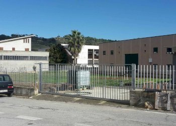 Foto 3 - Terreno edificabile Contrada Colle in Su, Acquaviva Picena - foto 3