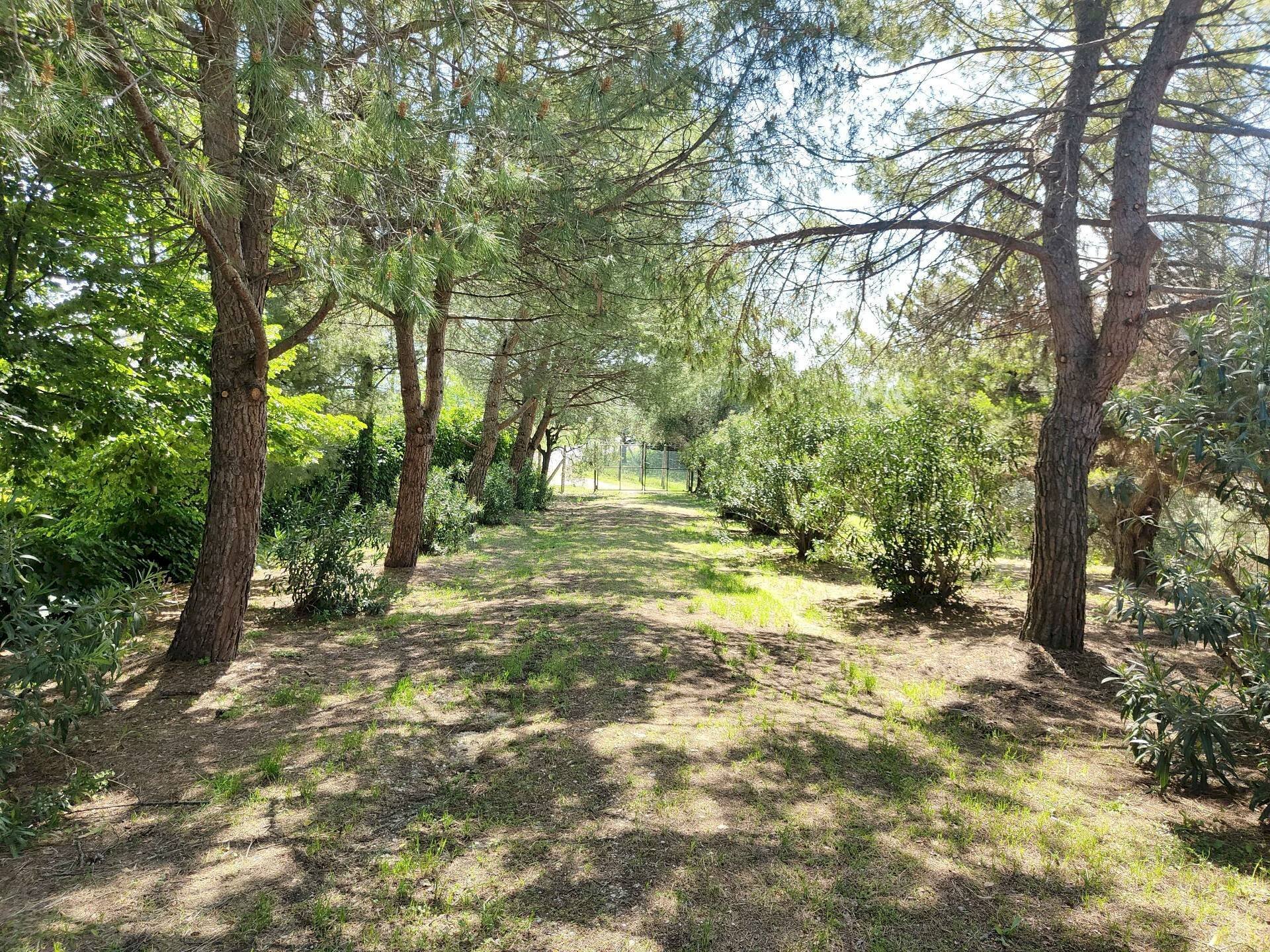 Foto 3 - Rustic Contrada Casarica, Acquaviva Picena - photo 3