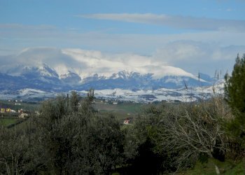 Foto 83 - Rustico Contrada Casarica, Acquaviva Picena - foto 83