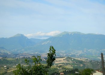 Foto 88 - Rustico Contrada Casarica, Acquaviva Picena - foto 88