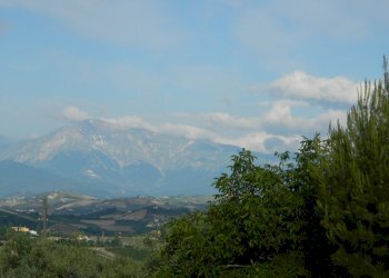 Foto 86 - Rustico Contrada Casarica, Acquaviva Picena - foto 86