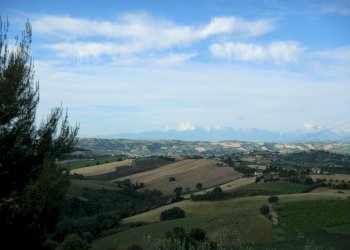 Foto 90 - Rustico Contrada Casarica, Acquaviva Picena - foto 90