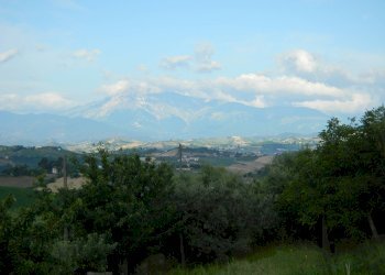 Foto 41 - Rustico Contrada Casarica, Acquaviva Picena - foto 41