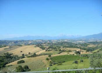 Foto 46 - Rustico Contrada Casarica, Acquaviva Picena - foto 46