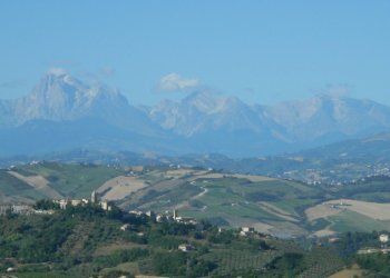 Foto 50 - Rustico Contrada Casarica, Acquaviva Picena - foto 50