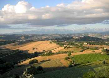 Foto 43 - Rustico Contrada Casarica, Acquaviva Picena - foto 43