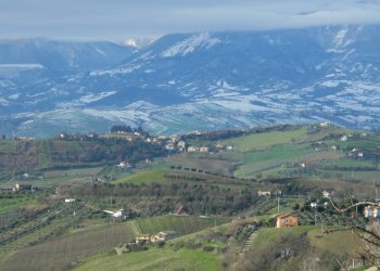 Foto 54 - Rustico Contrada Casarica, Acquaviva Picena - foto 54