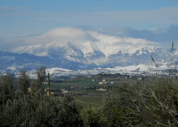 Foto 78 - Rustico Contrada Casarica, Acquaviva Picena - foto 78